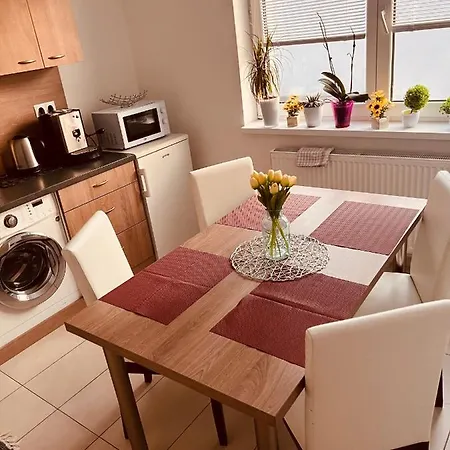 Apartment Sparrow Apartmens - Vrabcia Ulica 9,