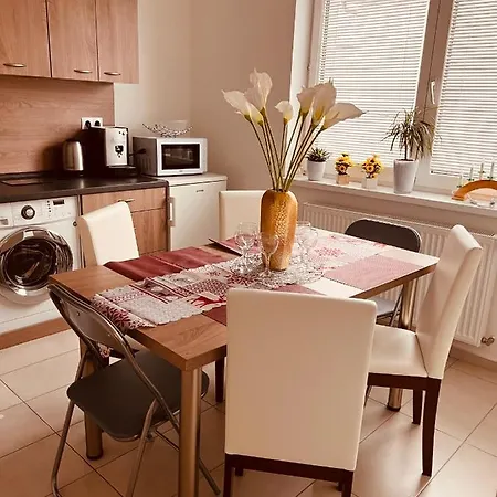 Apartament Sparrow Apartmens - Vrabcia Ulica 9, Koszyce